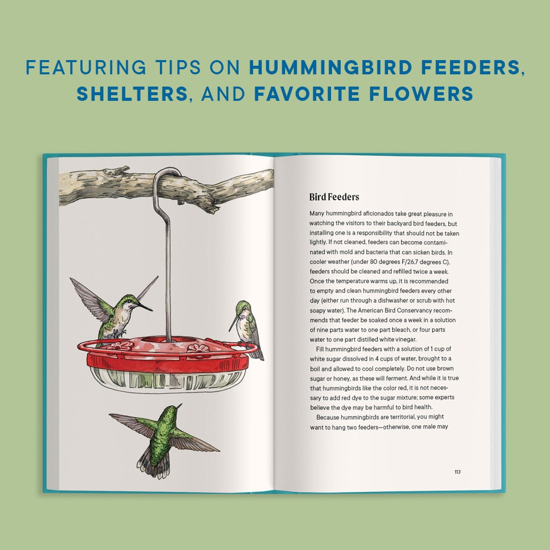 Paige Tate & Co A Little Book of Hummingbirds (Mother's Day Gift) - Little Miss Muffin Children & Home