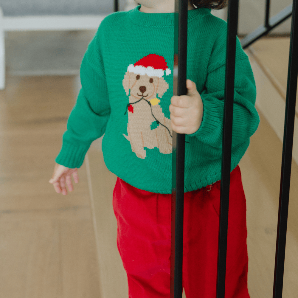 Bailey Boys Christmas Lab Crew neck Sweater in Kelly Green - Little Miss Muffin Children & Home