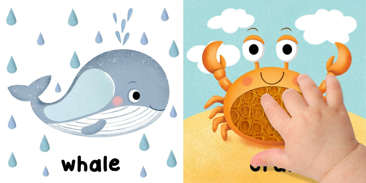 Little Hippo Books Brilliant Baby: In the Ocean - Children's Touch and Feel and Learn Sensory Board Book - Little Miss Muffin Children & Home