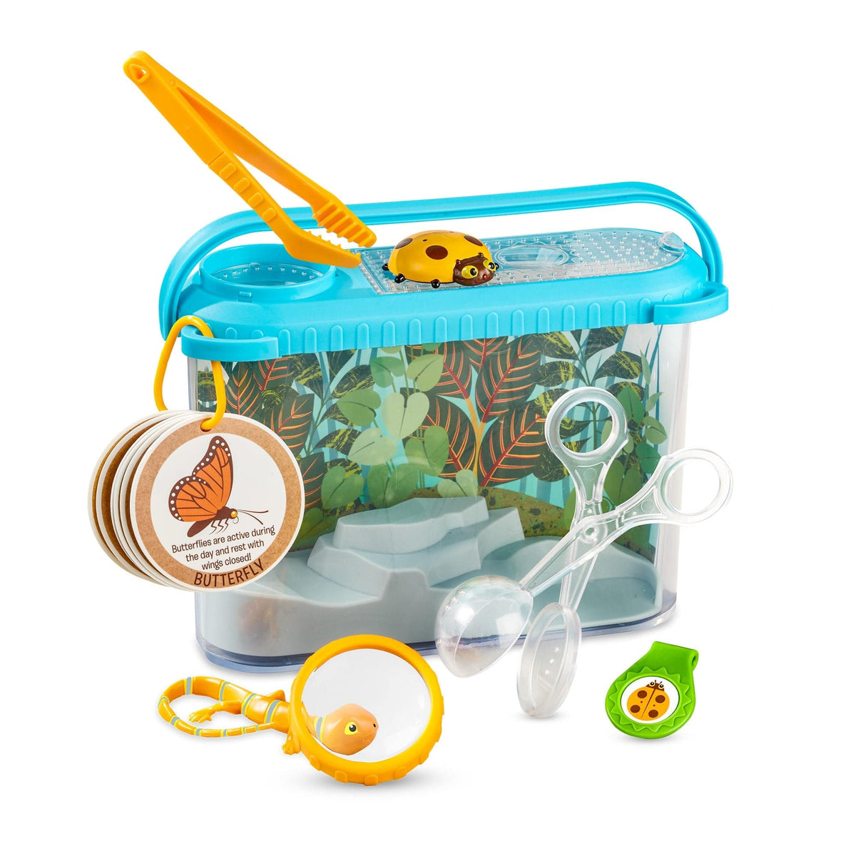 Melissa & Doug Melissa & Doug Terrarium Observations Play Set - Little Miss Muffin Children & Home