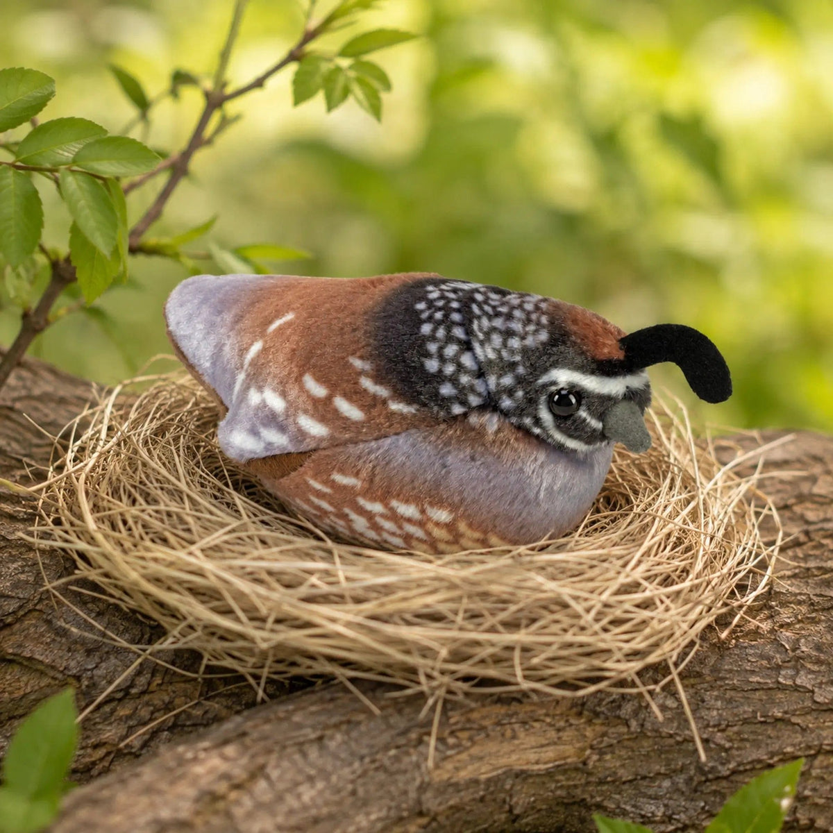 Wild Republic Audubon Birds California Quail Plush, view 6