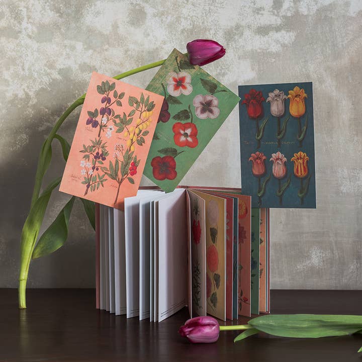 set of 24 postcards