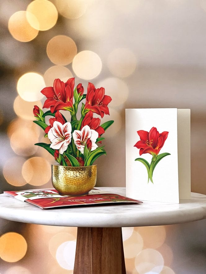 FreshCut Paper FreshCut Paper Mini Scarlett Amaryllis Pop-Up Greeting Card - Little Miss Muffin Children & Home