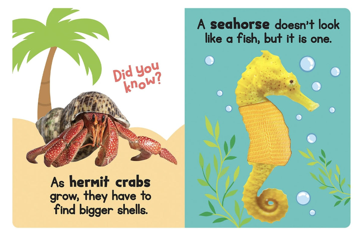 Little Hippo Books Ocean Friends a Touch & Feel Interactive Book - Little Miss Muffin Children & Home