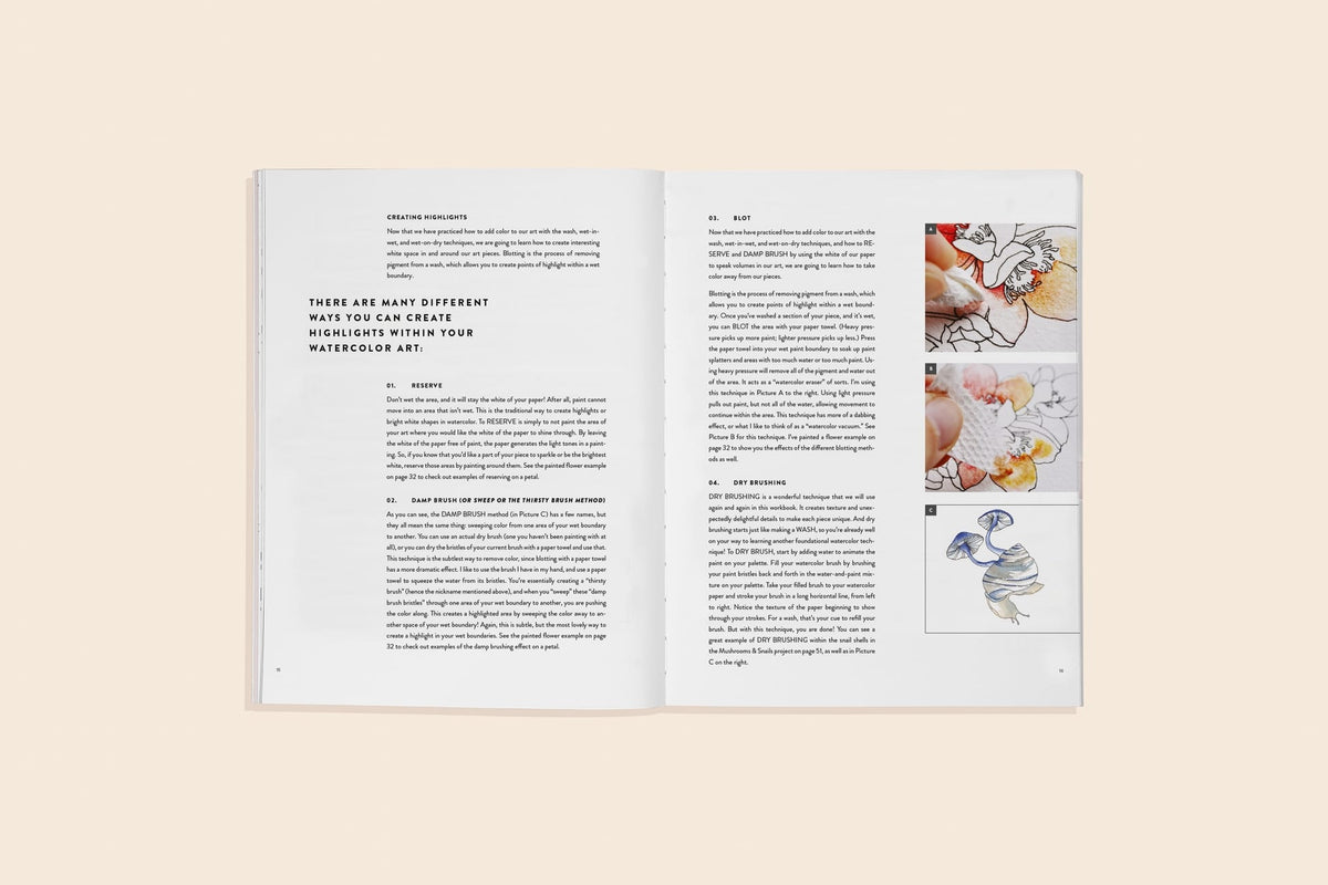 Paige Tate & Co Watercolor Workbook 2: Flowers, Feathers, & Animal Friends - Little Miss Muffin Children & Home