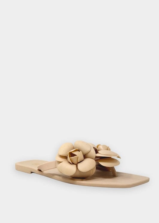 Dahlia Jelly Flower Thong Flat Sandal