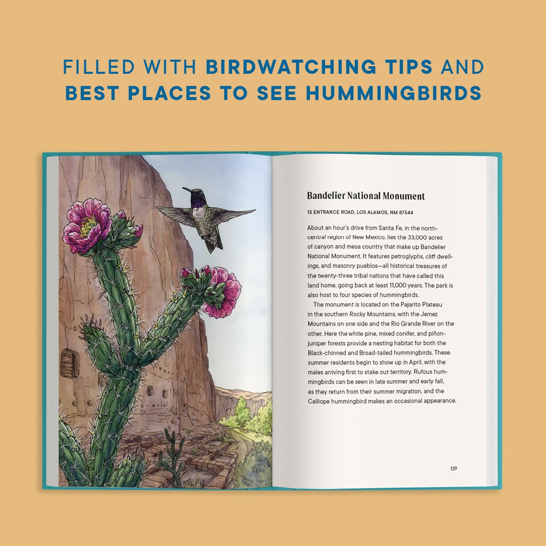 Paige Tate & Co A Little Book of Hummingbirds (Mother's Day Gift) - Little Miss Muffin Children & Home