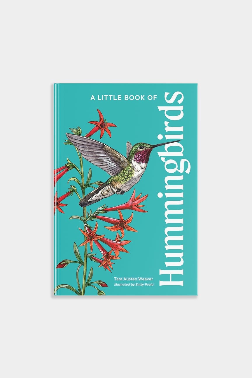 Paige Tate & Co A Little Book of Hummingbirds (Mother's Day Gift) - Little Miss Muffin Children & Home