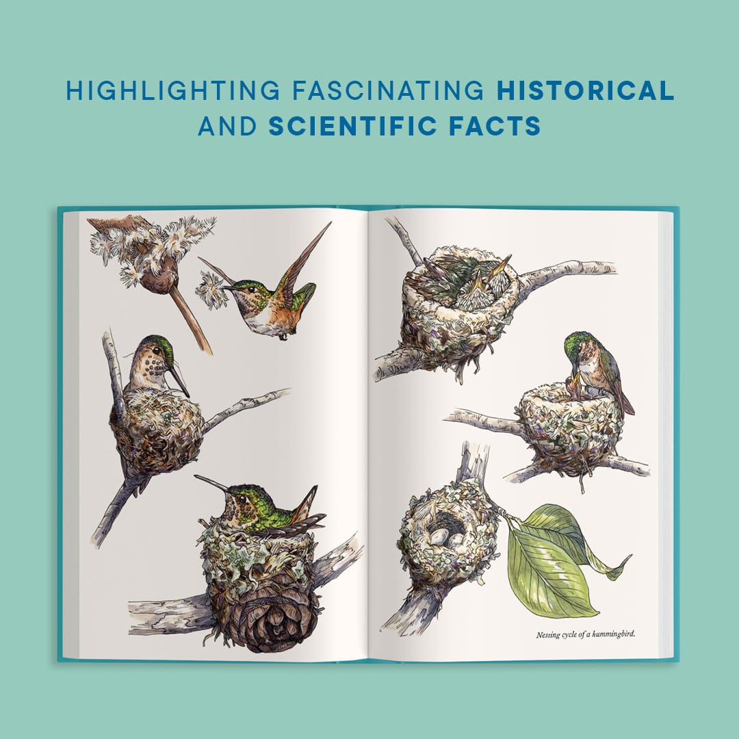Paige Tate & Co A Little Book of Hummingbirds (Mother's Day Gift) - Little Miss Muffin Children & Home