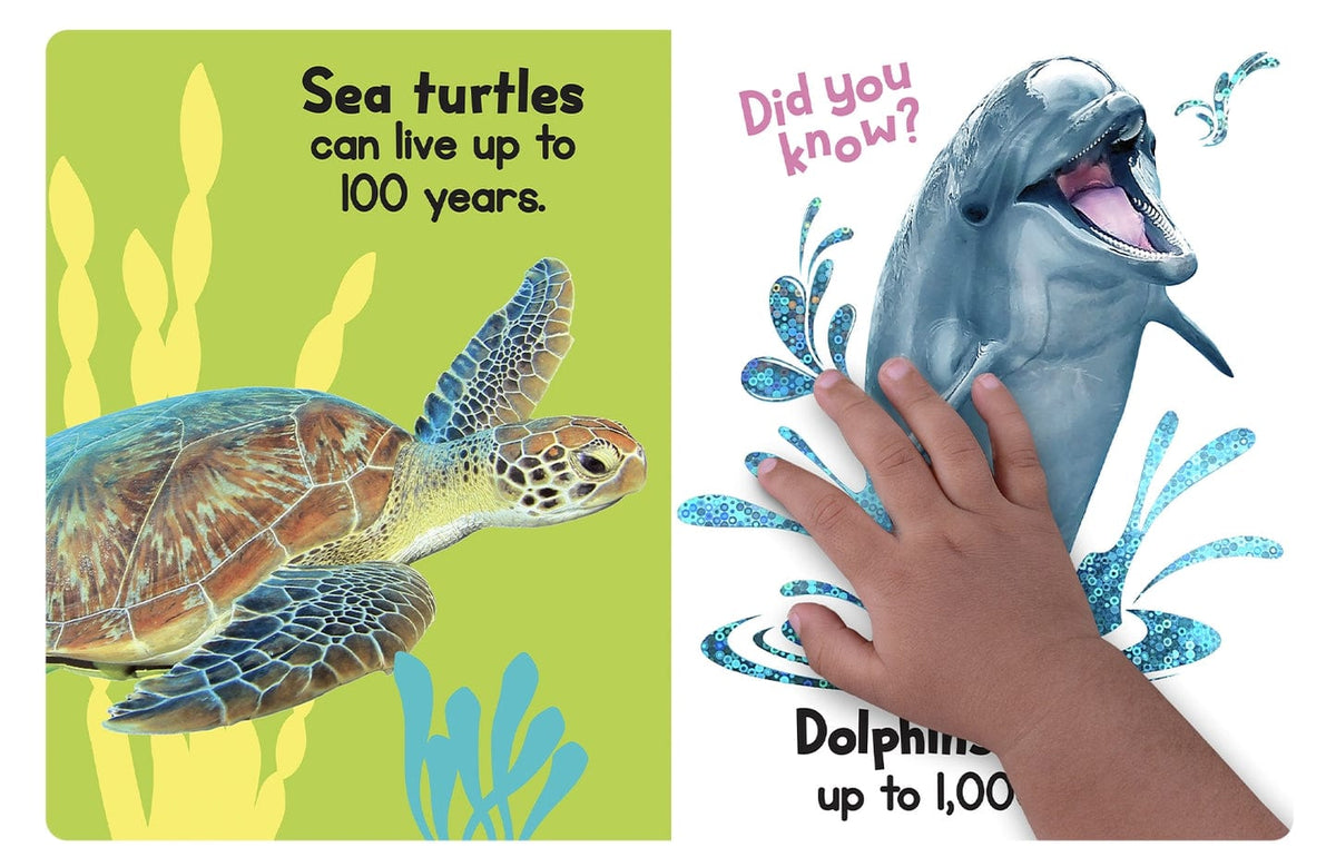 Little Hippo Books Ocean Friends a Touch & Feel Interactive Book - Little Miss Muffin Children & Home