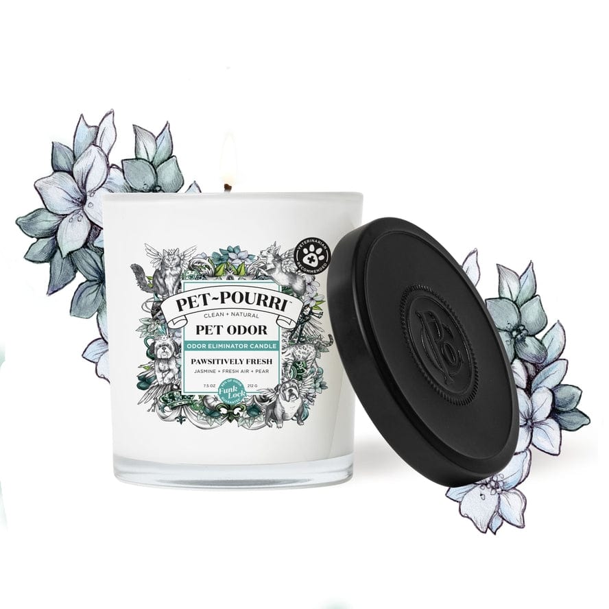 ~Pourri Pet~Pourri Pawsitively Fresh 2-in-1 Pet Candle 7.5oz - Little Miss Muffin Children & Home