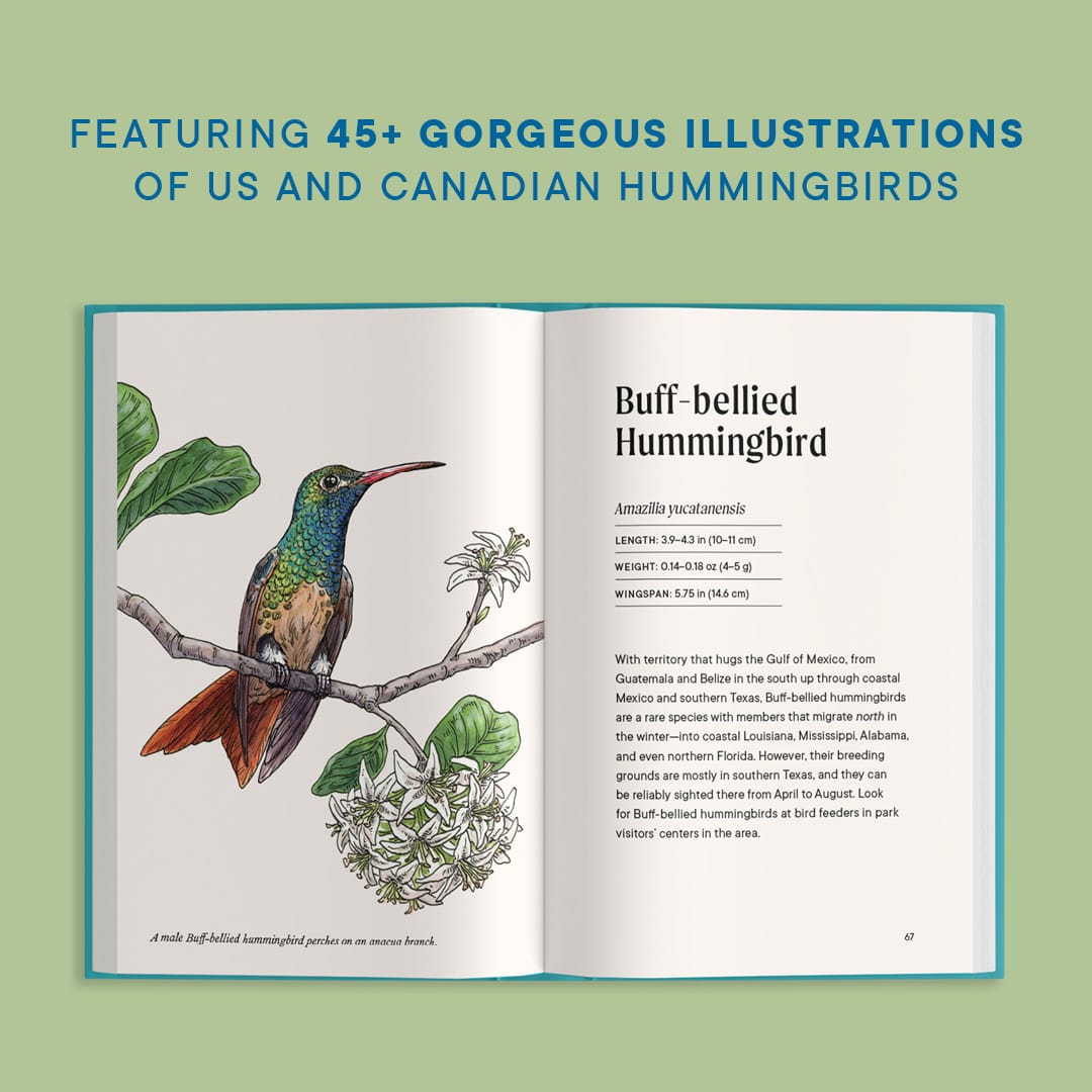 Paige Tate & Co A Little Book of Hummingbirds (Mother's Day Gift) - Little Miss Muffin Children & Home