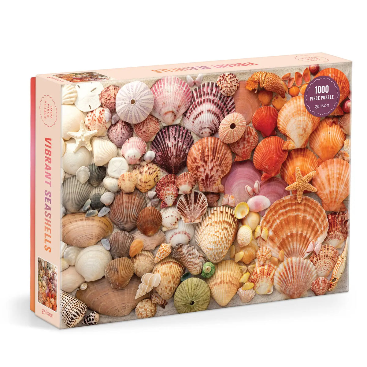 Chronicle Books Vibrant Seashells 1000 Piece Puzzle - Little Miss Muffin Children & Home