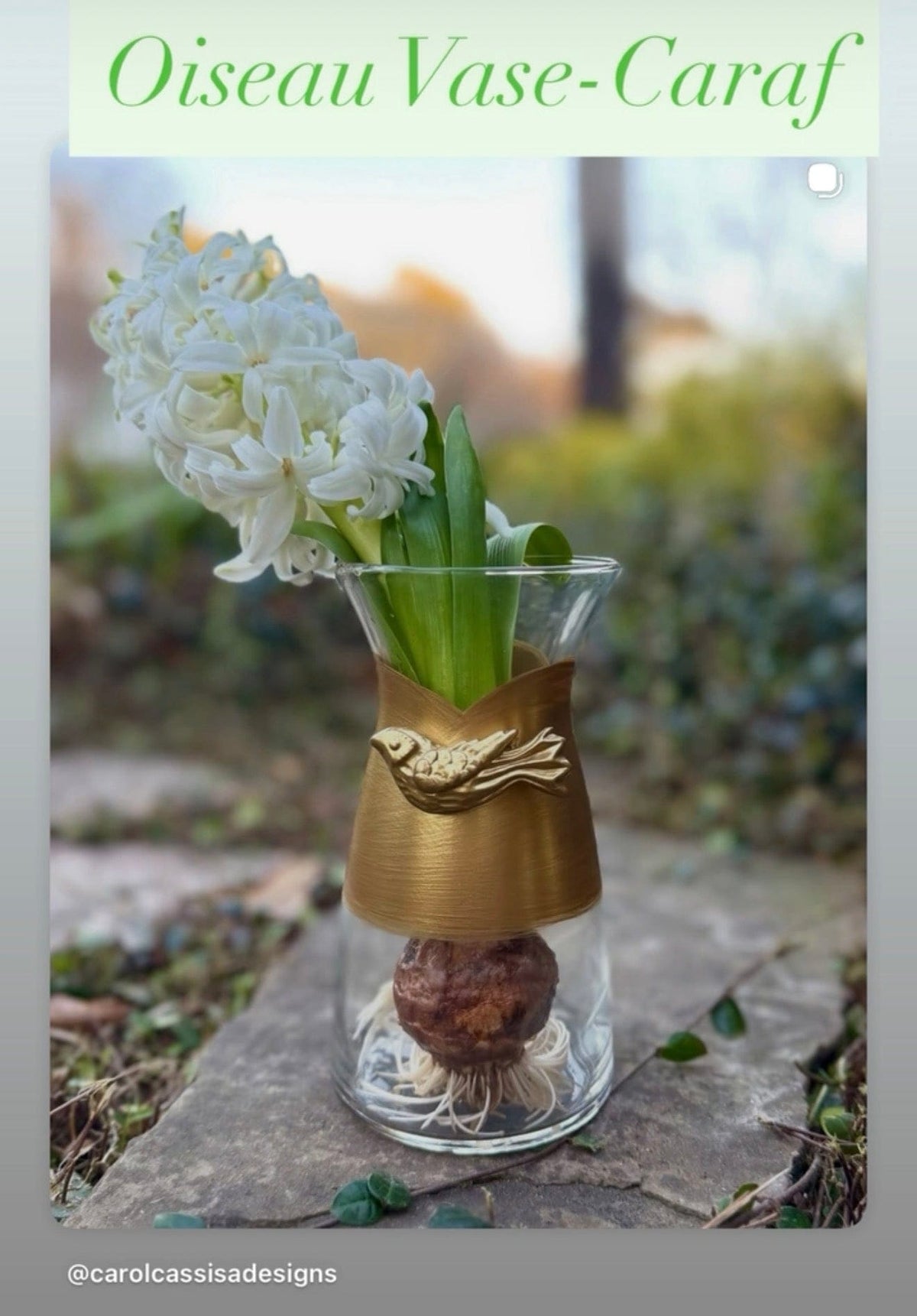 Carol Cassisa Carol Cassisa Bird Carafe - Little Miss Muffin Children & Home
