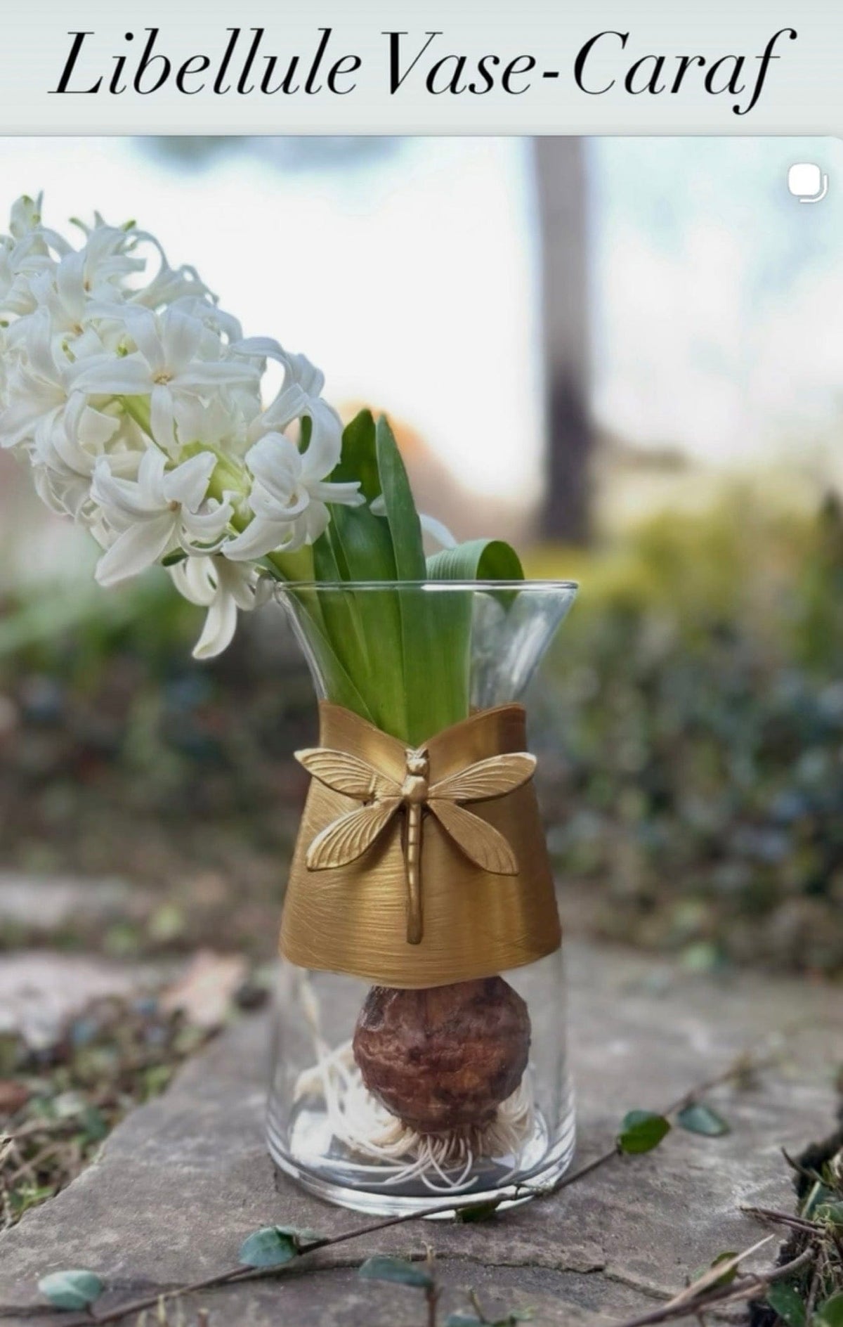 Vase-Caraf Libellule (Dragonfly)