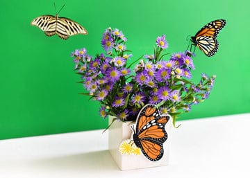 Coton Colors Company Coton Colors Company Monarch Mini Attachment - Little Miss Muffin Children & Home