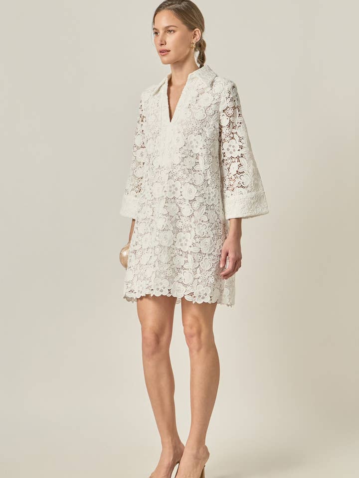 Guipure Lace Mini Dress