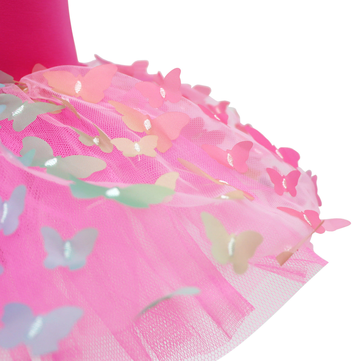 Rainbow Butterfly Tutu in Hot Pink