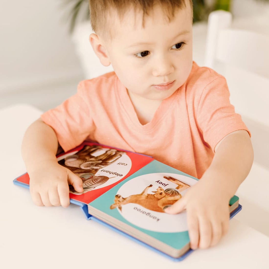 Melissa & Doug Melissa & Doug Poke A Dot Wild Animal Families - Little Miss Muffin Children & Home