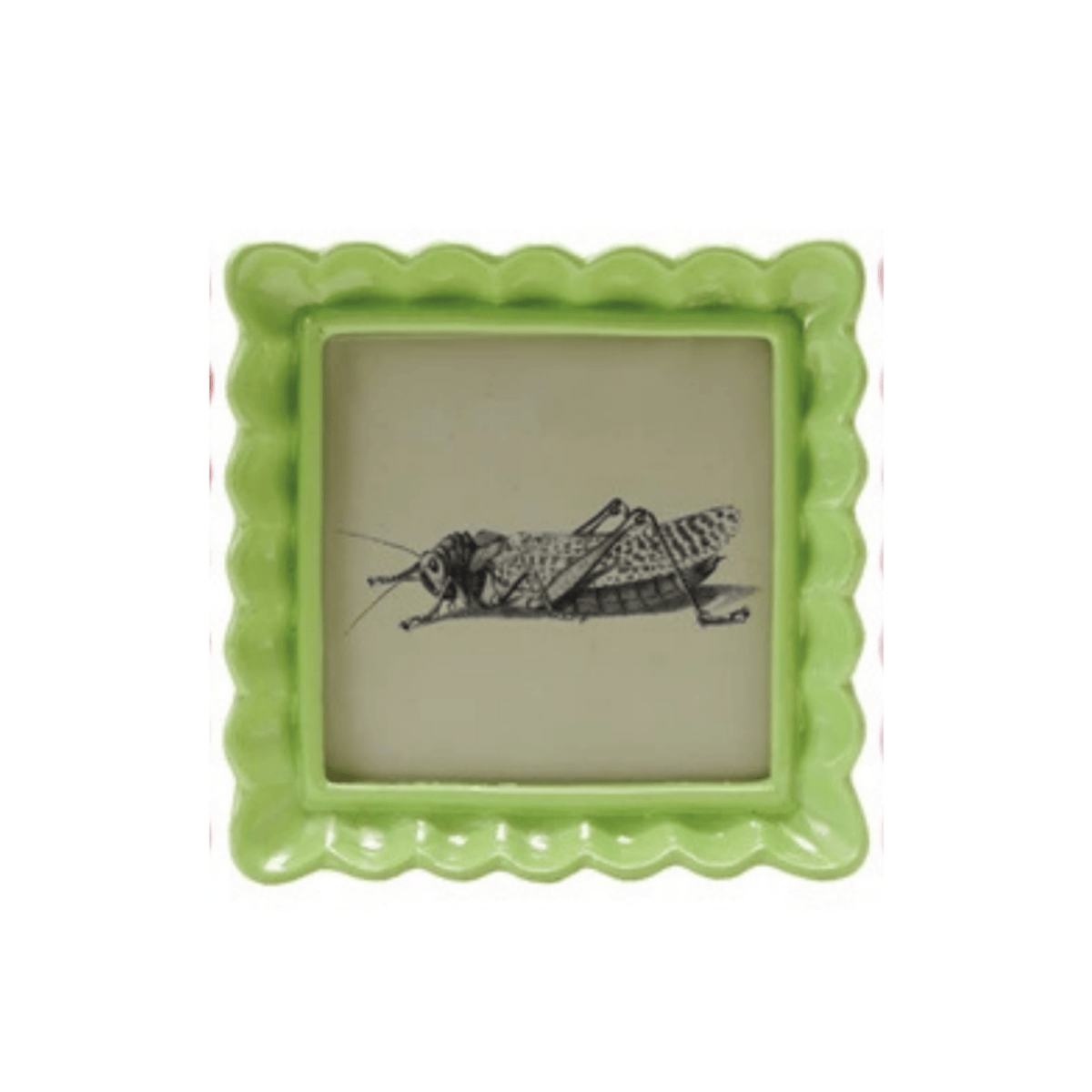 Resin Ruffled Photo Frame