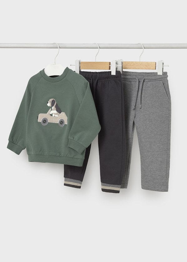 3 piece dog in car sweater set
