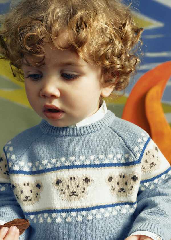 Teddy Bear Jacquard Sweater