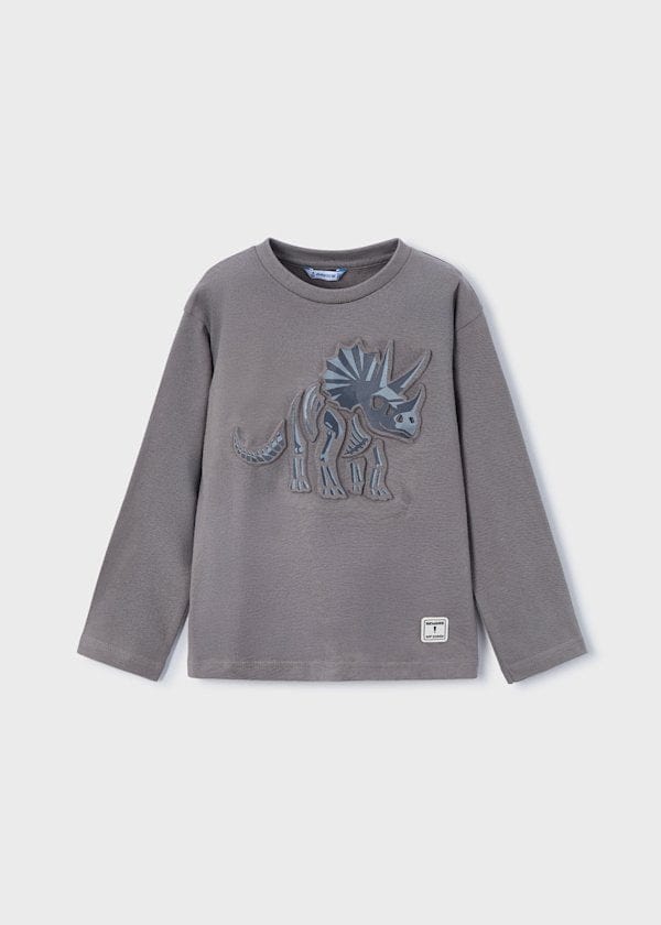 boys grey dino t shirt