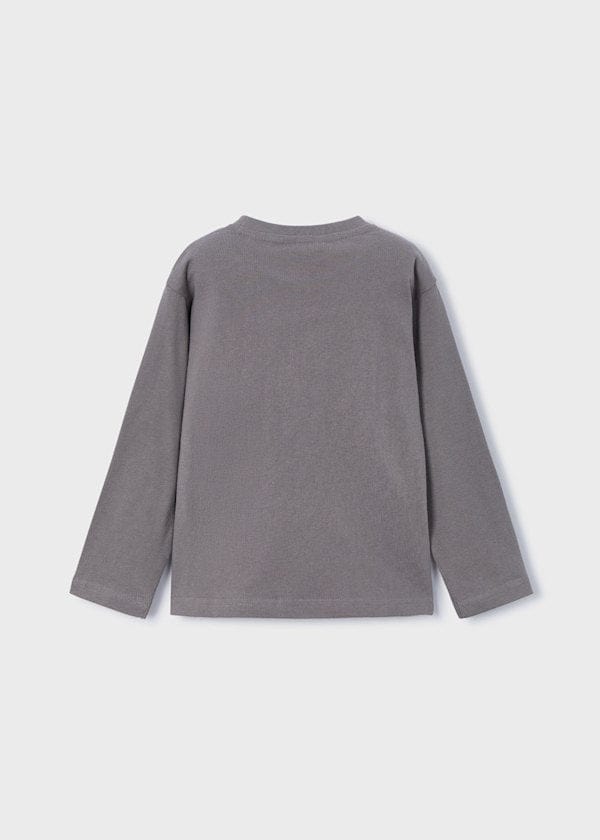 long sleeve grey dino t shirt
