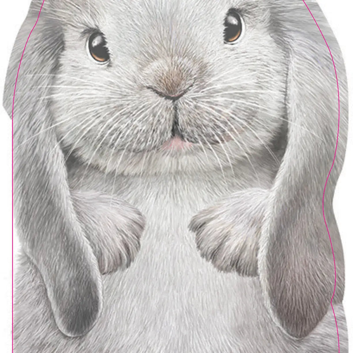 Sourcebooks Furry Bunny Board Book - Little Miss Muffin Children & Home