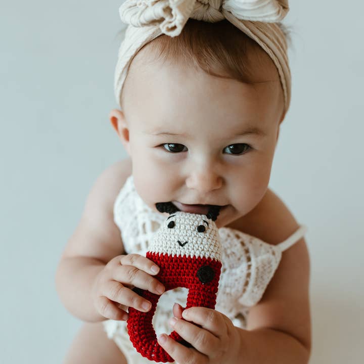 Crochet Ladybug Rattle