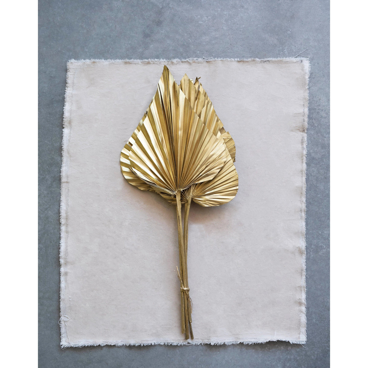 Creative Co-op Creative Co-op Dried Natural King Palm Spear Bundle of 5, Gold Finish - Little Miss Muffin Children & Home