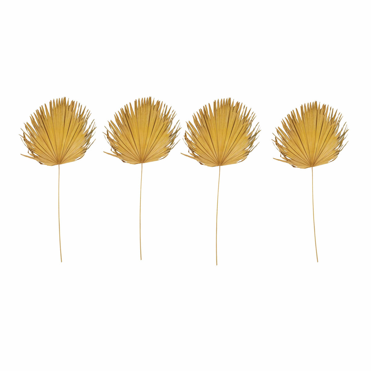 Creative Co-op Creative Co-op 44"-48"H Anahaw Dried Palm Leaf, Yellow (Each One Will Vary) - Little Miss Muffin Children & Home