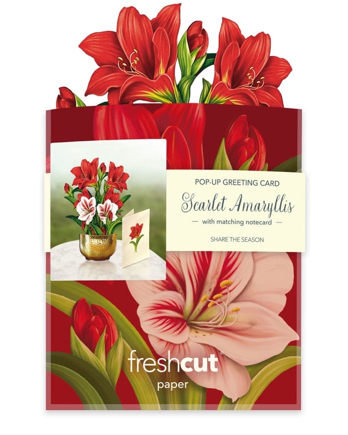 FreshCut Paper FreshCut Paper Mini Scarlett Amaryllis Pop-Up Greeting Card - Little Miss Muffin Children & Home