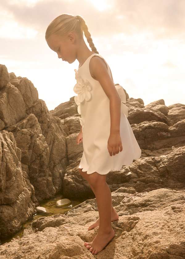 Flower Applique Sleeveless Crepe Dress