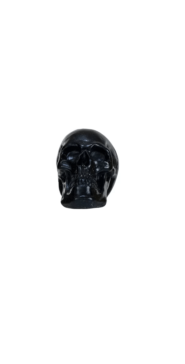 Creative Co-op Resin Skulls, 4 Available Colors, Sold Individually - Little Miss Muffin Children & Home