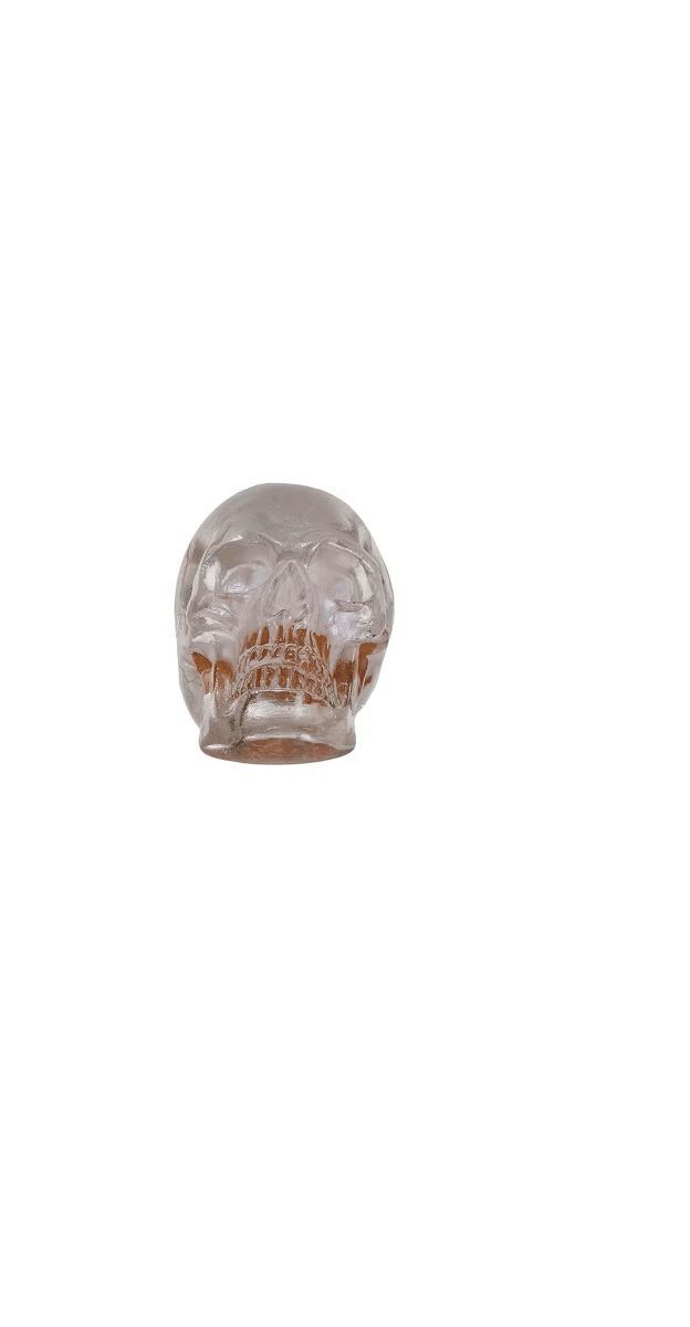 Creative Co-op Resin Skulls, 4 Available Colors, Sold Individually - Little Miss Muffin Children & Home