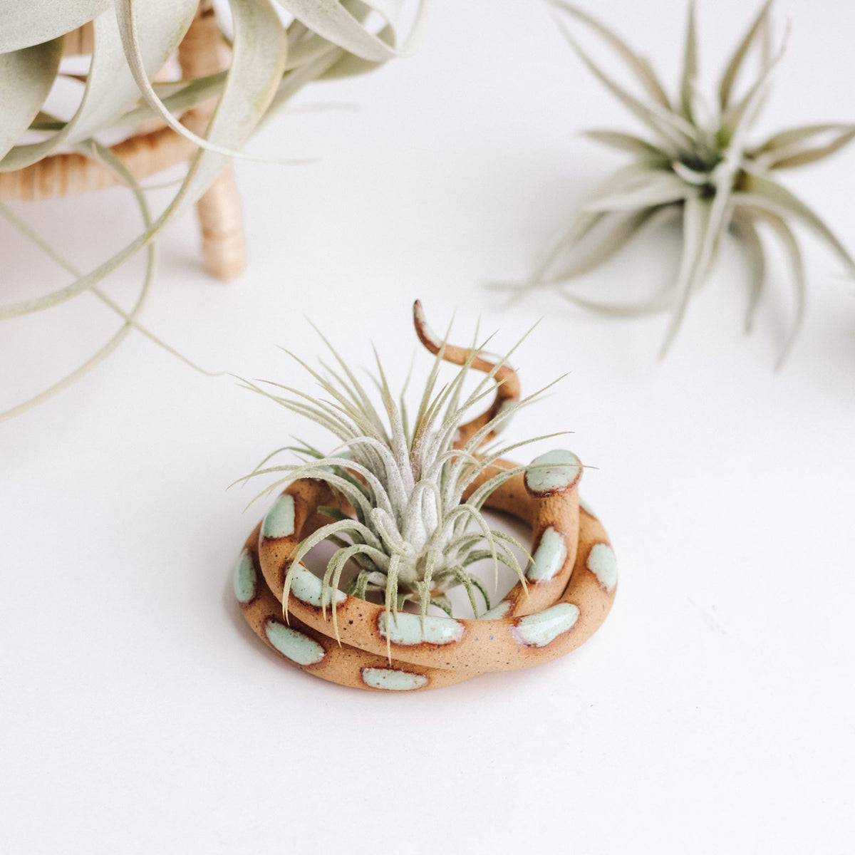 Carter & Rose Carter & Rose Selma Ceramic Snake with out Plant - Little Miss Muffin Children & Home