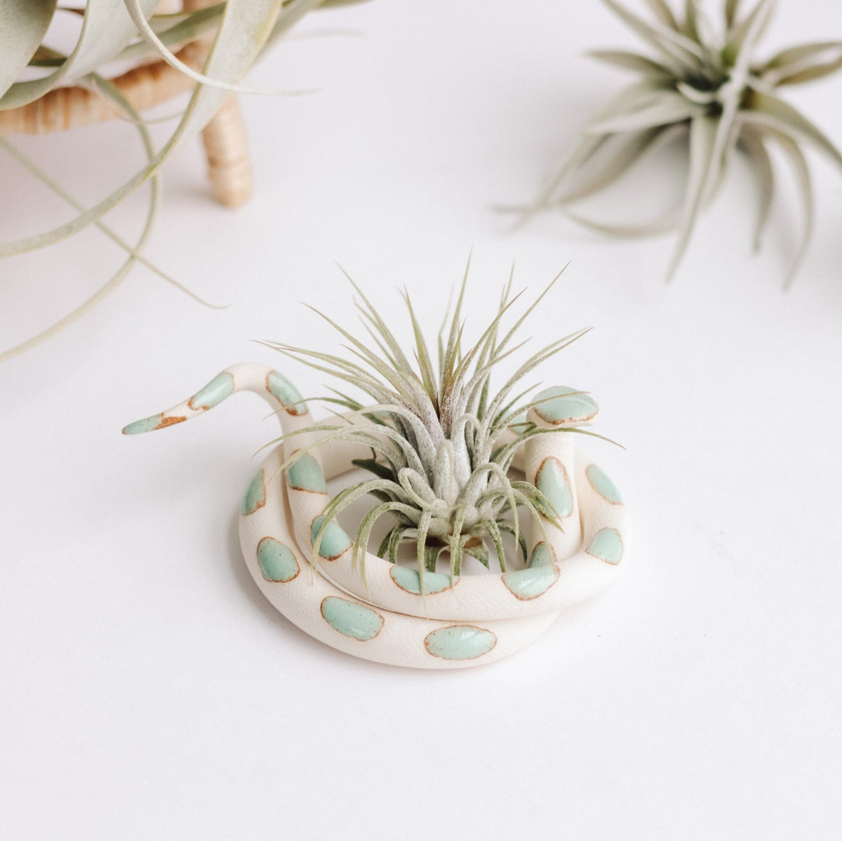 Carter & Rose Carter & Rose Sylvia Ceramic Snake with out Plant - Little Miss Muffin Children & Home