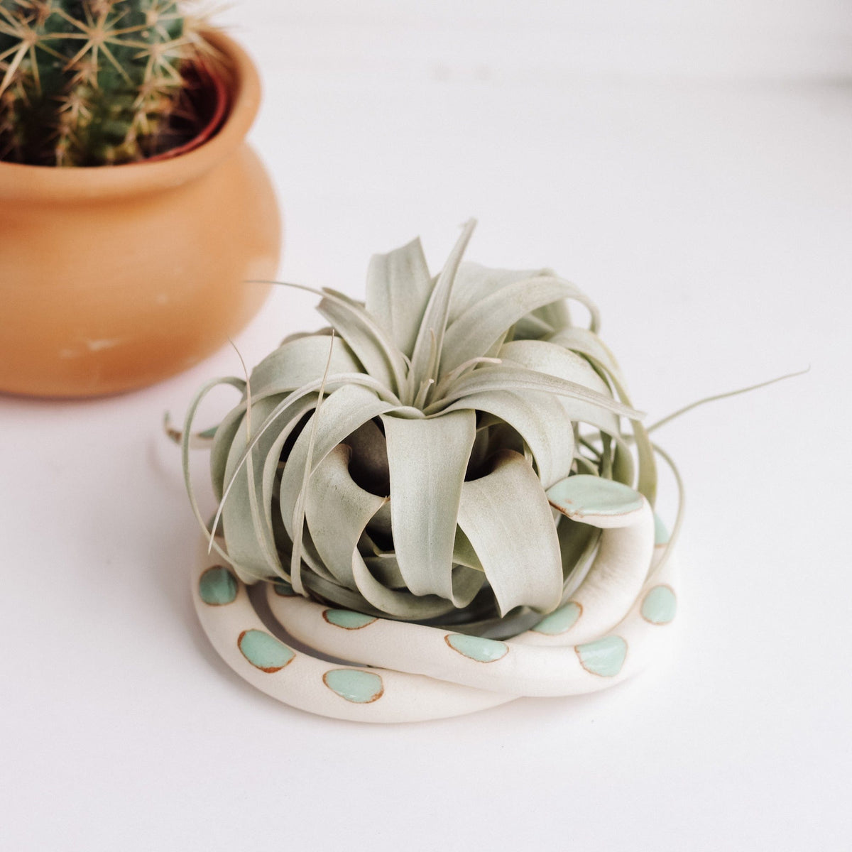 Carter & Rose Carter & Rose Sylvia Ceramic Snake with out Plant - Little Miss Muffin Children & Home