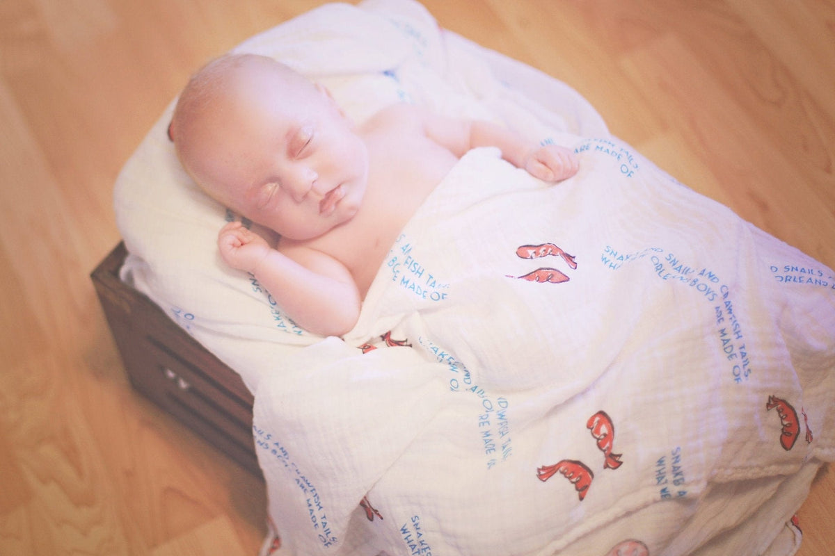 Little Hometown Little Hometown Louisiana Boys 2-Pack Swaddle Blanket Set - Little Miss Muffin Children & Home