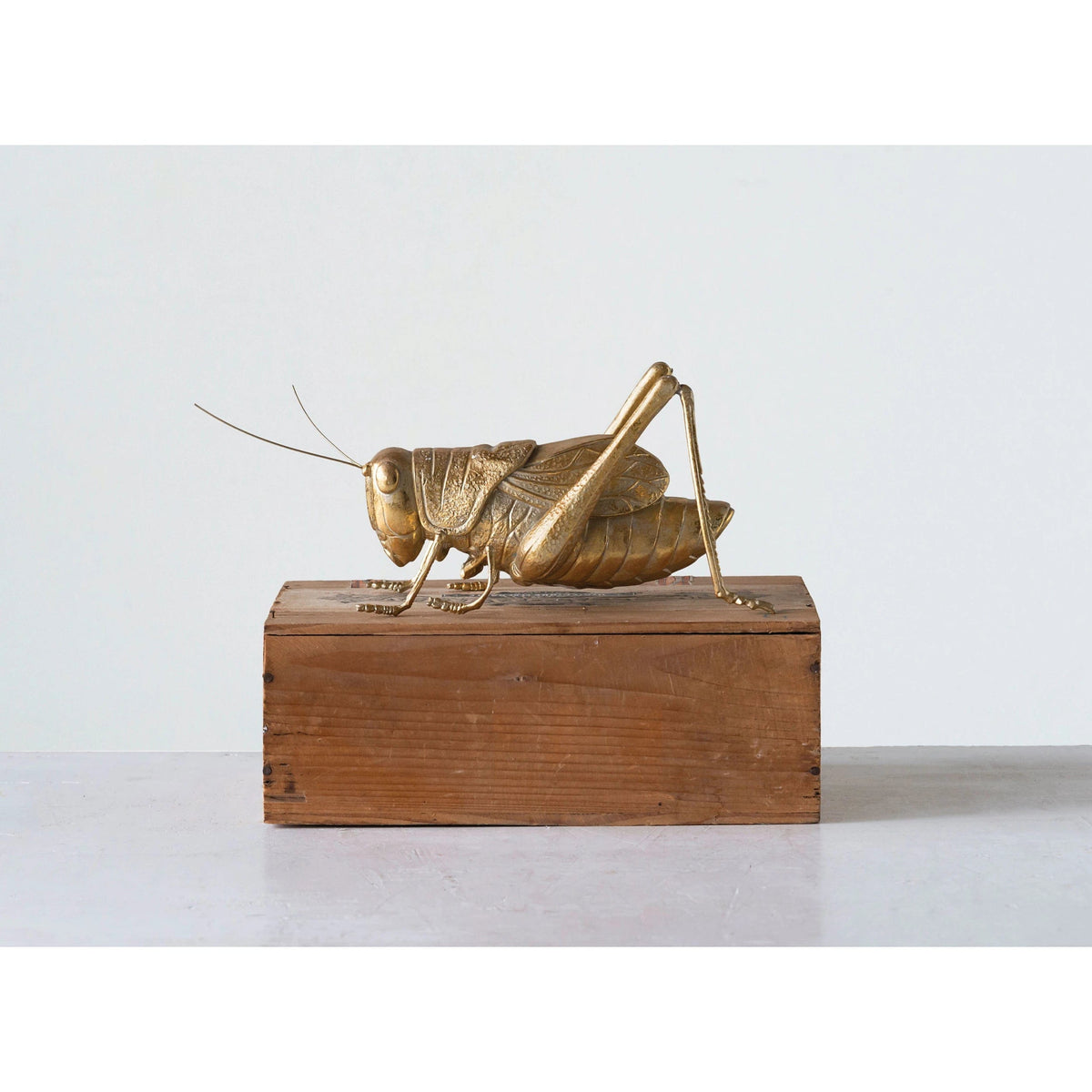 Creative Co-op Creative Co-op Resin Cricket - Little Miss Muffin Children & Home