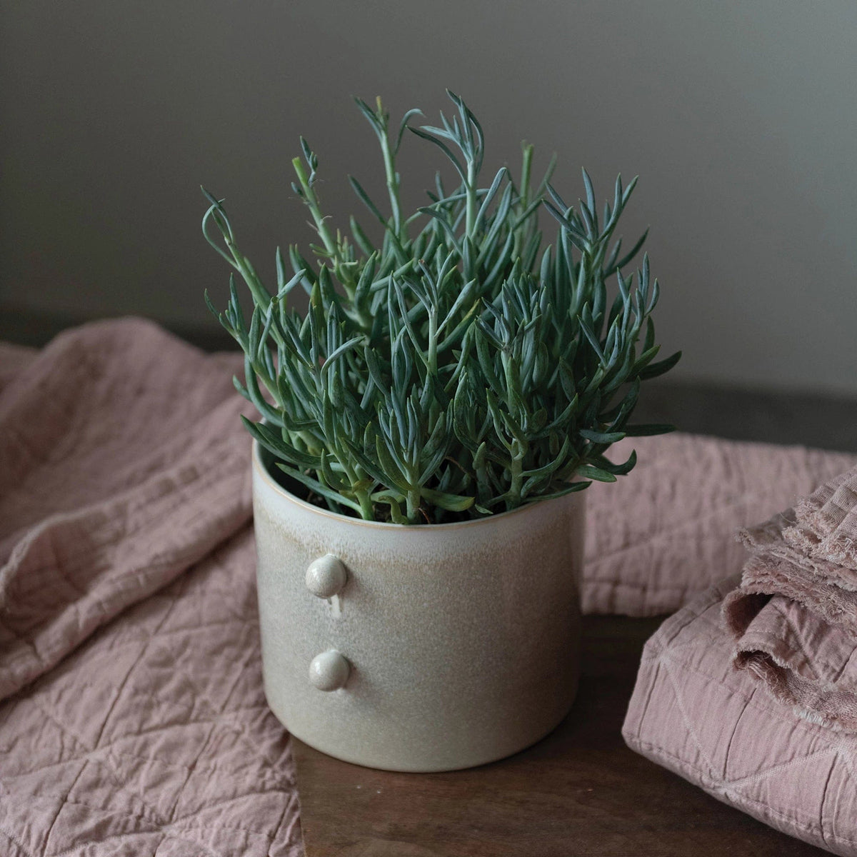Creative Co-op Creative Co-op Stoneware Planter, Cream Reactive Glaze - Little Miss Muffin Children & Home