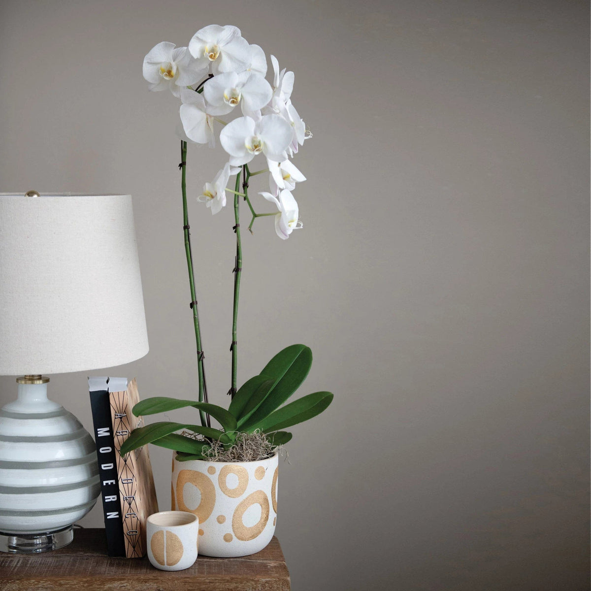 Creative Co-op Creative Co-op Stoneware Planter with Gold Design - Little Miss Muffin Children & Home