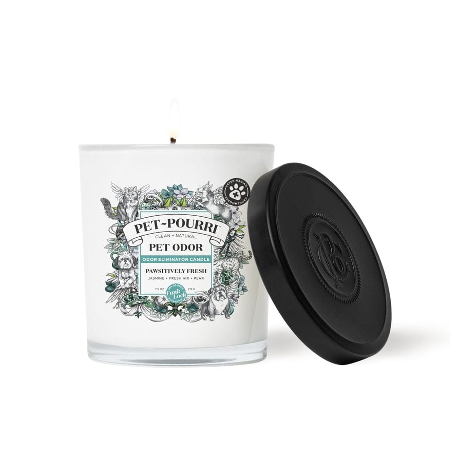 ~Pourri Pet~Pourri Pawsitively Fresh 2-in-1 Pet Candle 7.5oz - Little Miss Muffin Children & Home