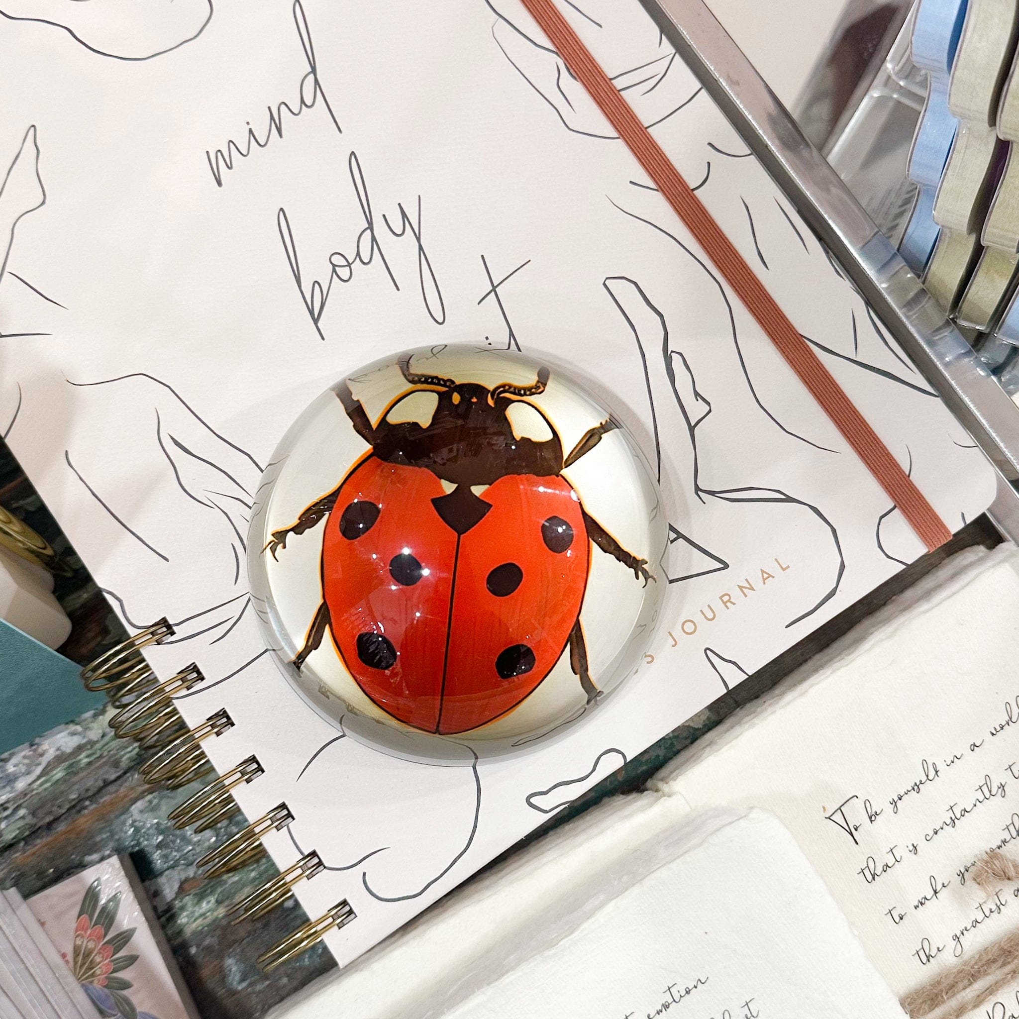 Saint Austin Company Ladybug Paperweight - Little Miss Muffin Children & Home