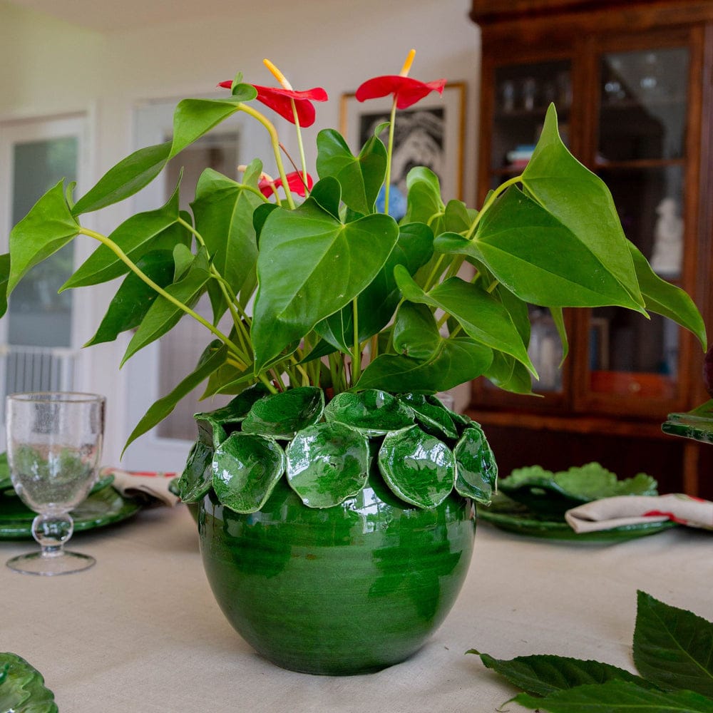 Nasturtium Green Cachepot with Petals