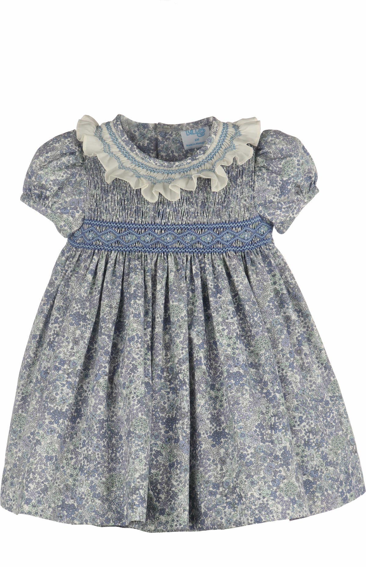Blue Fall Bloom Smock Dress