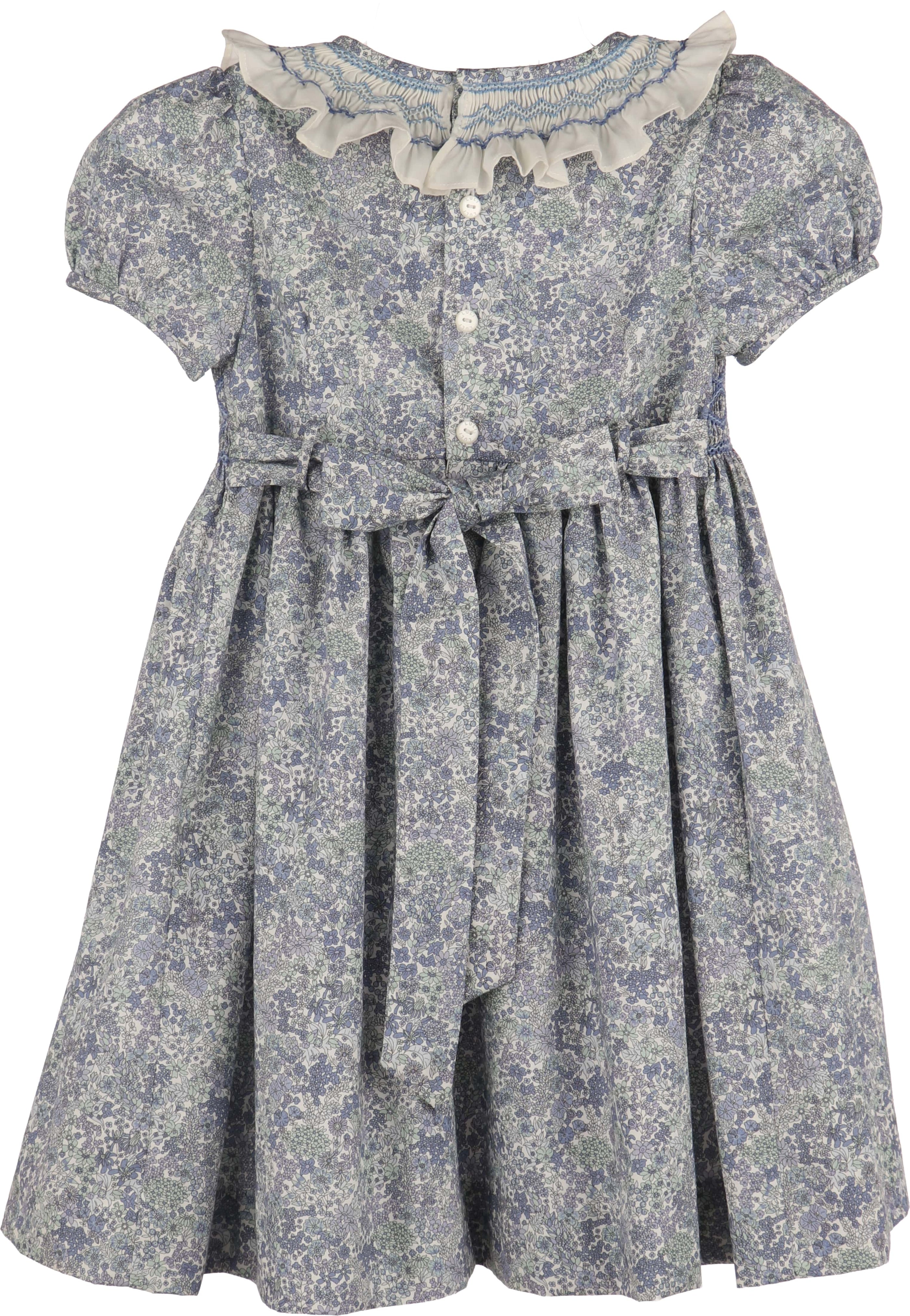 Blue Fall Bloom Collar Dress