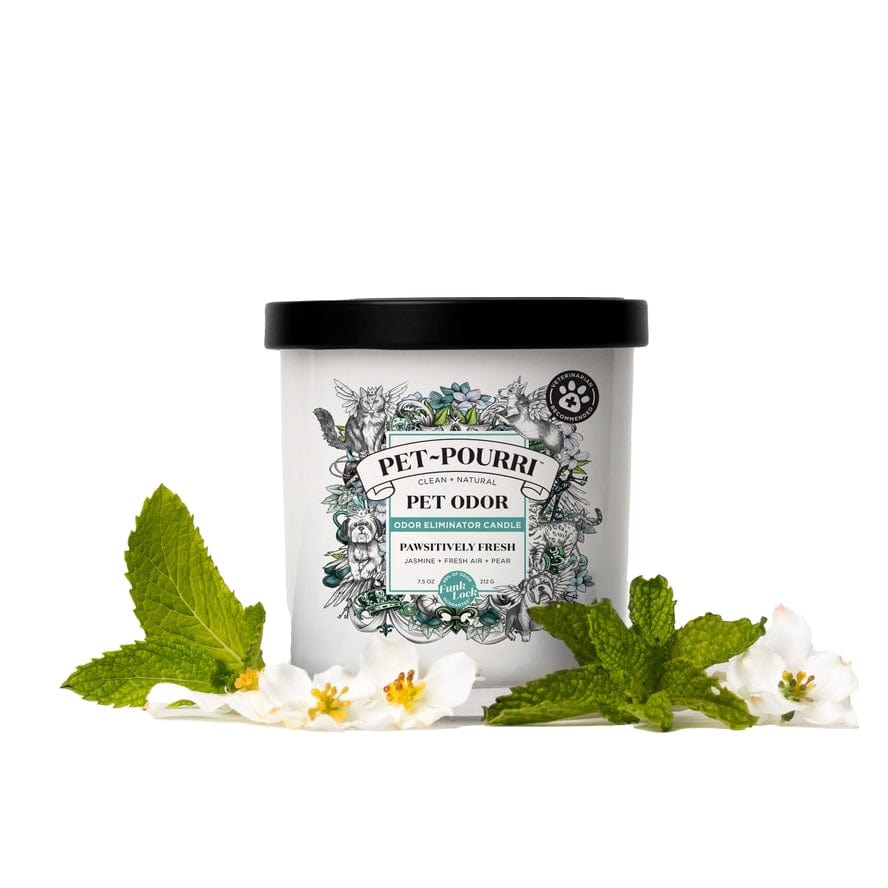 ~Pourri Pet~Pourri Pawsitively Fresh 2-in-1 Pet Candle 7.5oz - Little Miss Muffin Children & Home