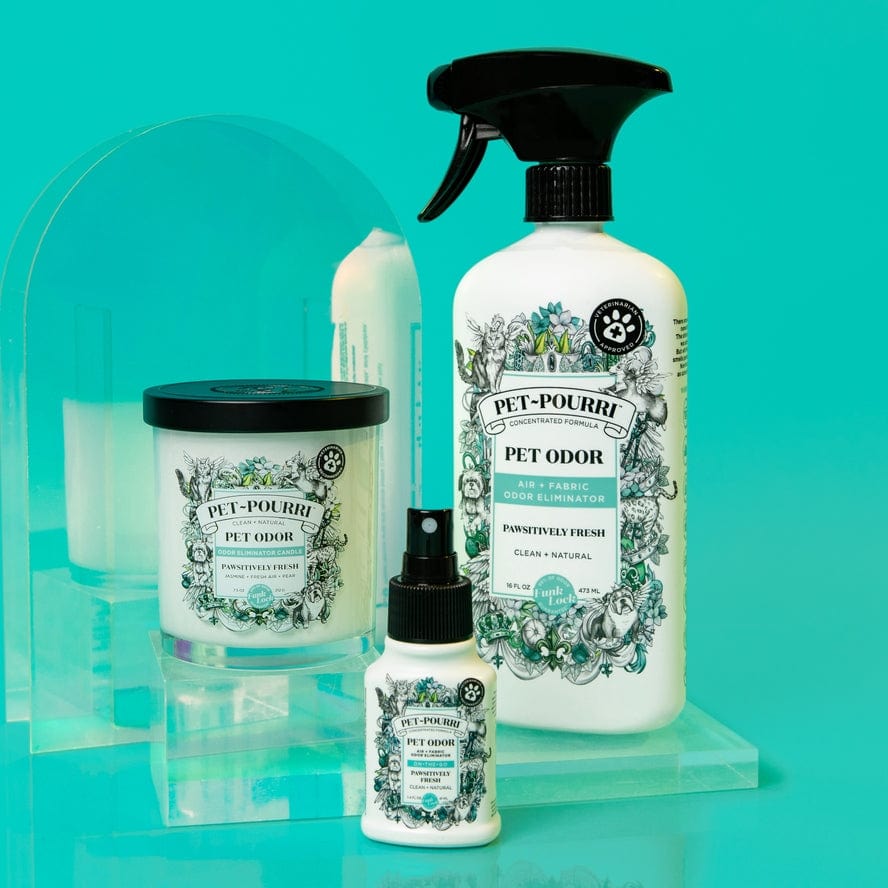 ~Pourri Pet~Pourri Pawsitively Fresh 2-in-1 Pet Candle 7.5oz - Little Miss Muffin Children & Home